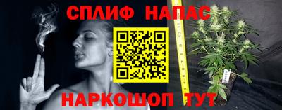 ГАЛЛЮЦИНОГЕННЫЕ ГРИБЫ Рыбинск